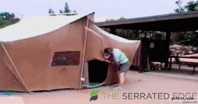 giphy - 2026-03-20T094150.949.gif