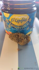 IMG_20260414_172754 - Copy.jpg