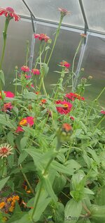20260505_161534.jpg