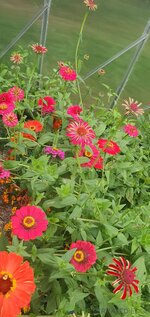 20260505_161711.jpg