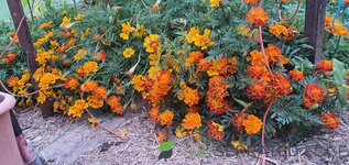 20260505_161617.jpg