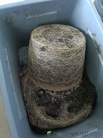 IMG20260525111208.jpg