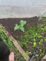 image-1780813157596.jpg