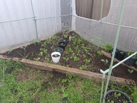 image-1780815290129.jpg