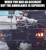 images (50).jpeg