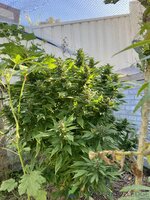 IMG_0832.jpeg