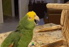 1781339410627.gif