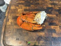 IMG_4507.jpeg IMG_4507.jpeg
