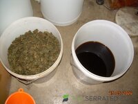 DSCN3926.JPG