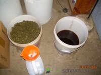 DSCN3927.JPG