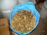 DSCN3937.JPG