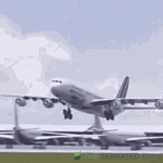 1782203463841.gif 1782203463841.gif