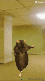 1782204376655.gif 1782204376655.gif