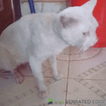 giphy - 2026-06-23T195753.905.gif giphy - 2026-06-23T195753.905.gif