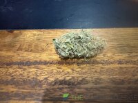 IMG_4520.jpeg