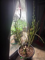 20260714_165353.jpg