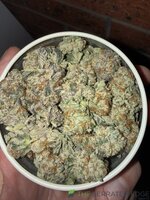 IMG_8131.jpeg