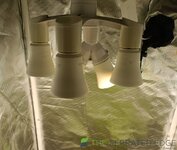 IMG_20260803_093026.jpg
