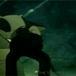 giphy - 2026-08-05T194151.153.gif