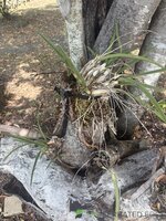 IMG_4784.jpeg