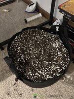 IMG_0479.jpeg