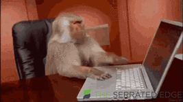 monkey-dumb.gif