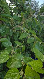 20260916_175238.jpg