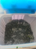 20260920_111607.jpg