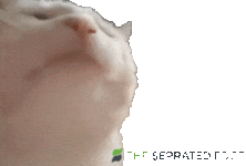 1000003033.gif