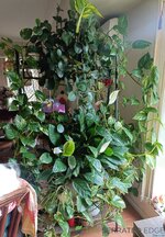 IMG_20261006_144434.jpg