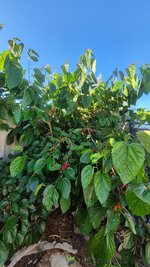 20261010_182410.jpg 20261010_182410.jpg
