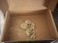 IMG_4954.jpeg IMG_4954.jpeg