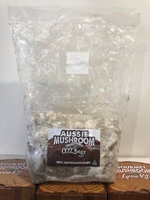 www.ebay.com.au