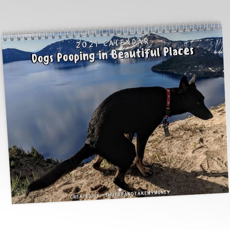 Dogs-Pooping-WP.jpg