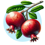 vidarbergum.com