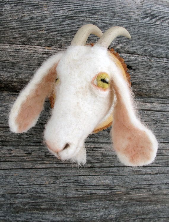 499f2018cd7e6198cac3552758a3d219--miniature-goats-the-goat.jpg